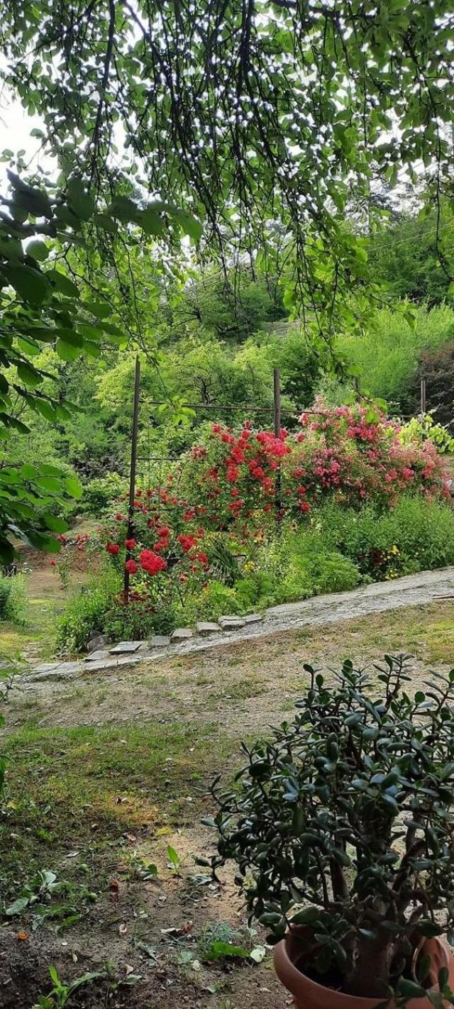 Likani House 1 Hotel Kültér fotó